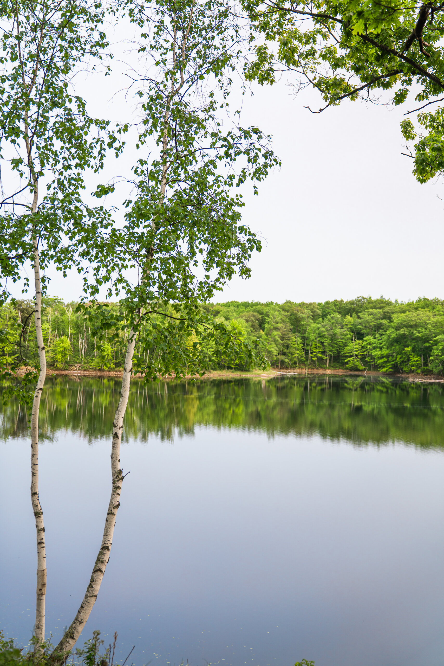 Lake & Outdoors at Nick Lake Lodge