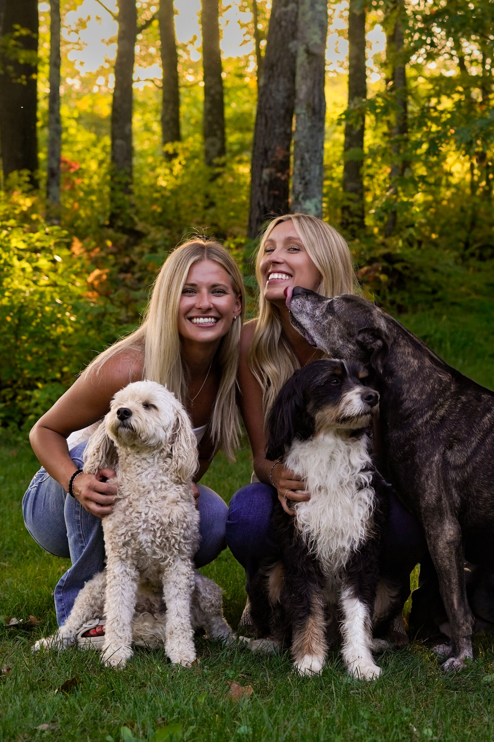 Classic family portrait with dogs
